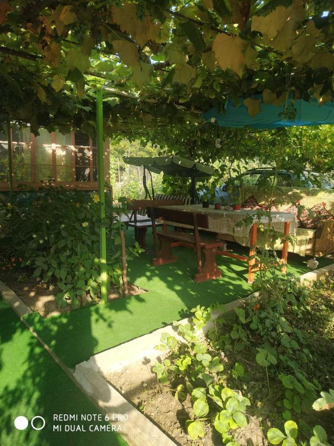 Стаи За Гости Тамара Ezerets エクステリア 写真